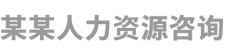 某某人力资源咨询公司